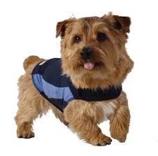 Xs Mavi Thundershirt Sakinlestirici Kopek Giysisi