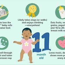 Pureed baby food from a jar or pouch, without added sugar or preservatives cooked mashed foods like potatoes, squash, or carrots Your 11 Month Old Baby Development Milestones