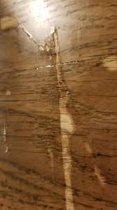 We did not find results for: Stain Not Adhering To Wood Woodworking Stack Exchange