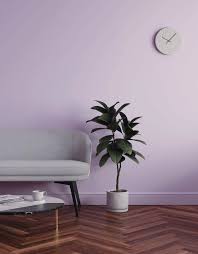 Best Lilac Interior Paint Colors To