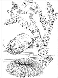 You are viewing some algae sketch templates click on a template to sketch over it and color it in and share with your family and friends. Online Coloring Pages Coloring Page Fish Swim Past The Coral And Algae Fish Coloring Pages For Kids