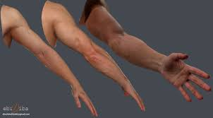 Fps Arm Male 3d Model 3d Model Model Male