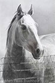 mary buchholtz artwork horse drawings charcoal art horse painting