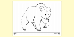 If your child loves interacting. Bear Hunt Colouring Colouring Sheets