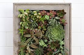 Add a hanging garden to your home with a living succulent picture frame. It S Honestly So Easy To Make This Hanging Succulent Garden