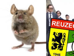 Enkele weken na de commotie en het overlijden van een lid tijdens de doop van reuzegom zijn eindelijk de namen. Persoonlijke Info Van Reuzegommers Gelekt Op Het Internet Buitenland Hln Be