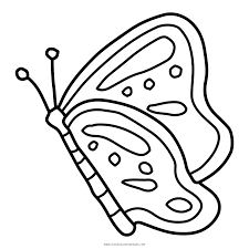 Butterfly Coloring Pages Transparent Butterfly Coloring Page Coloring Pages Cool Coloring Pages There are various different colors of life, of feeling and so on. butterfly coloring pages transparent