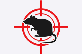 Desratização em empresas