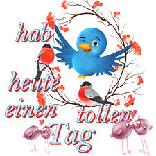 This png image was uploaded on january 7, 2017, 7:56 am by user: Dreamies De 0z1d6vvckj3 Png Lustige Guten Morgen Grusse Liebe Guten Morgen Grusse Guten Morgen Lustig