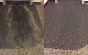 How to clean each type of rug material. How To Make Your Old Carpet Look Like A Brand New Investment