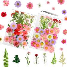 Pink dried flowers for resin. Amazon Com Yrym Ht Dried Flowers 72 Pcs Natural Pink Dried Flower Herbs Kit For Bath Soap Making Candle Making And Resin Jewelry Making Art Floral Decors Home Kitchen