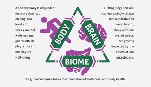 A Fit Body Begins With Mental Wellness And The Key To A Healthy Brain Is The Gut Microbiome Body Brain Biome Project B3 The Body Gut Health Healthy Brain