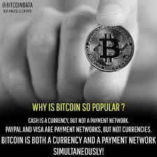 Bitcoin is the most famous among them. Why Is Bitcoin So Popular Bitcoin