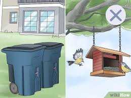 What to use to keep cats away from my house. 11 Ways To Keep Cats Out Of Your Yard Wikihow