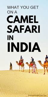 Standing in those security lines costs you $5.60 per flight. Pin On India Travel Destinations