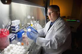 Sanofi pasteur's top competitors are gsk, pfizer and merck. Uga Sanofi Pasteur Develop New Vaccine For H1n1 Influenza Eurekalert Science News