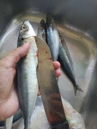 Menurut perkongsian oleh aris farhan yang juga pengasas, hamka freshmart beliau kongsikan cara menyiang ikan keli yang sebenar sebagai rujukan. Mak Slalu Bising Kalo Siang Ikan Siakap Keli Press Facebook