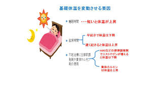 睡眠 時間 短い 基礎 体温