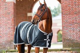 Shop a wide selection of products for your home at amazon.com. The Saratoga Anti Sweat Sheet Saratoga Horseworks