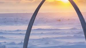 In the northern most parts of alaska, e.g. How Alaskans Cope With Two Months Of All Day Daylight The Weather Channel Articles From The Weather Channel Weather Com