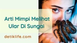 Ular besar dalam mimpi memiliki banyak makna yang baik. Arti Mimpi Melihat Ular Di Sungai Beserta Pertanda Baik Dan Buruk Detiklife