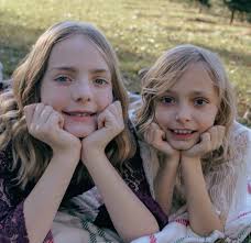 Has anyone successfully transitioned to photography as a beginner career?