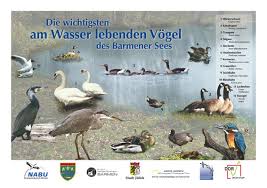 7,618 likes · 19 talking about this. Nabu Beobachtungshutte Am Barmener See Nabu Kreisverband Duren E V