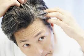 Selain itu, larangan memakai cat rambut warna hitam disebabkan karena bisa jatuh kepada perkara memperdaya orang lain. Cat Hitam Rambut Bolehkah Republika Online