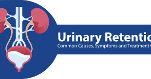 Image result for Urinary Retention