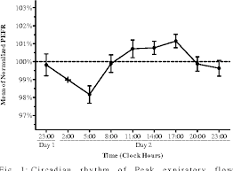 If you or your child takes the test only one time during the day, take it first in a person who has poorly controlled asthma, it may vary more than 20%. Circadian Rhythm Of Peak Expiratory Flow Rate In Healthy North Indian Men Semantic Scholar