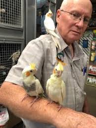 Hand Raised birds...