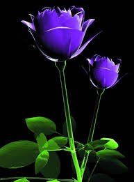 Choose from the best android wallpapers, perfect for your phone background or lockscreen. Hd Mobile Phone Wallpapers Wallpaper Cave