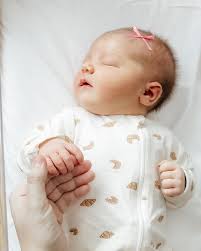 Instagram photo by Haley Eisenhauer • Feb 4, 2025 at 1:22 PM