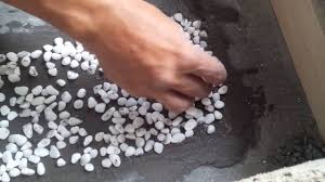 1.harga batu koral kupang putih. Cara Mudah Pasang Batu Kerikil Alam Di Sela Keramik Untuk Tangga Minimalis Pasang Batu Sikat 1 Youtube