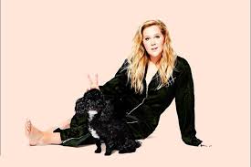 amy schumer pittsburgh official ticket source heinz hall