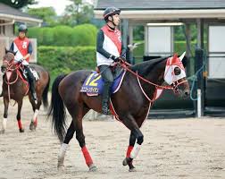 2021年6月27日、上半期を締めくくるグランプリ「宝塚記念」が阪神競馬場で開催される。 昨年、圧勝したクロノジェネシスが連覇を果たすのか。 となるとド真ん中すぎるので…… せめてレイパパレを1着固定にして夢を託すつもり。 とはいえ、なんだか今年の宝塚記念は大荒れす. Pegvkhk1hab8bm