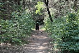 Gull Meadow Farms In Michigan Is A Fun Fall Destination