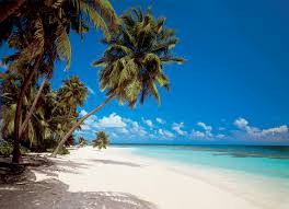 Der praia da marinha ist unser lieblingsstrand in portugal. Kiss Fototapeten Thermoglaser Und Leuchtpflastersteine Fototapete Maledives 388x270 Strand Palmen Malediven Indischer Ozean Traumstrand