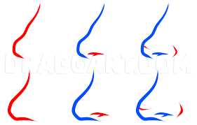 Learn to find inspiration in the moment with thousands of creative classes. How To Draw An Easy Nose Step By Step Drawing Guide By Dawn Dragoart Com