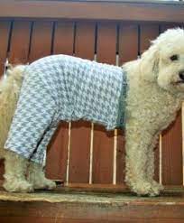 Dog Pants