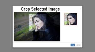 It is a small video with a length of 3 seconds and also including sound, which can be produced in the ios system camera. Php Crop Image While Uploading With Cropper Js Webslesson