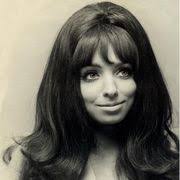 Folk Rock Artists & the Gear They Use