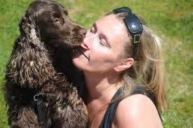 Love Actually's Cocker Spaniel