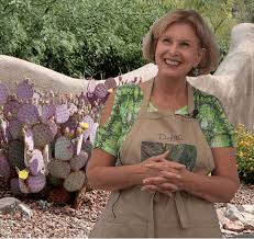 It is not too difficult in a greenhouse, although grows quite slowly. How To Grow Succulents By Season And Region Expert Debra Lee Baldwin