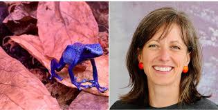 Dan Capps' Insect, Bug, and Butterfly exhibit at Gandy Dancer in Mazomanie