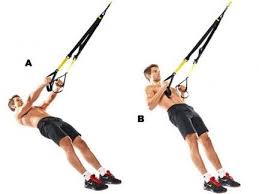 Check spelling or type a new query. Best Trx Exercises 10 Essential Moves For Total Body Muscle