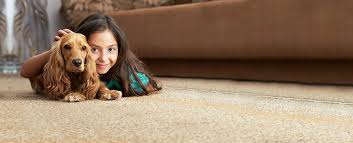best carpet cleaning in arizona sns