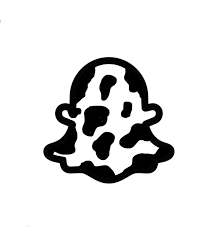 If you have been on the hunt for some awesome app icons that are better on aesthetics, then you have landed on a good. Cow Print Snapchat Icon In 2021 Ios App Icon Design Snapchat Icon Iphone Icon