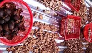 Meneruskan hari ketiga dan keempat bab saya. Buah Manggis Memang Sedap Ketahui Juga Khasiat Kulit Daunnya Ikut Petua Lama Keluarga