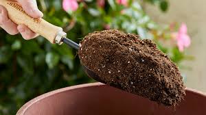 For the most part, topsoil is found naturally. What Should I Do With Used Potting Mix Garden Gate